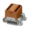 Miniatura Immagine principale 1