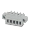 Miniatura Immagine principale 1