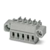Miniatura Immagine principale 1