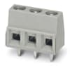 Miniatura Immagine principale 1