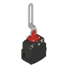 PIZZATO ELETTRICA - Interruttore di sicurezza a leva asolata FX 22C2-A