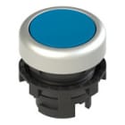 PIZZATO ELETTRICA - Pulsante ad impulso rasato blu
