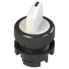 PIZZATO ELETTRICA - Selettore luminoso a leva corta a due posizioni bianco con marcatura