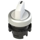 PIZZATO ELETTRICA - Selettore luminoso a leva corta a due posizioni nero con marcatura