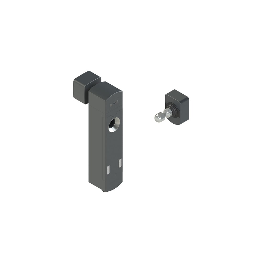 PIZZATO ELETTRICA - Interruttore di sicurezza con blocco serie NS completo di azionatore