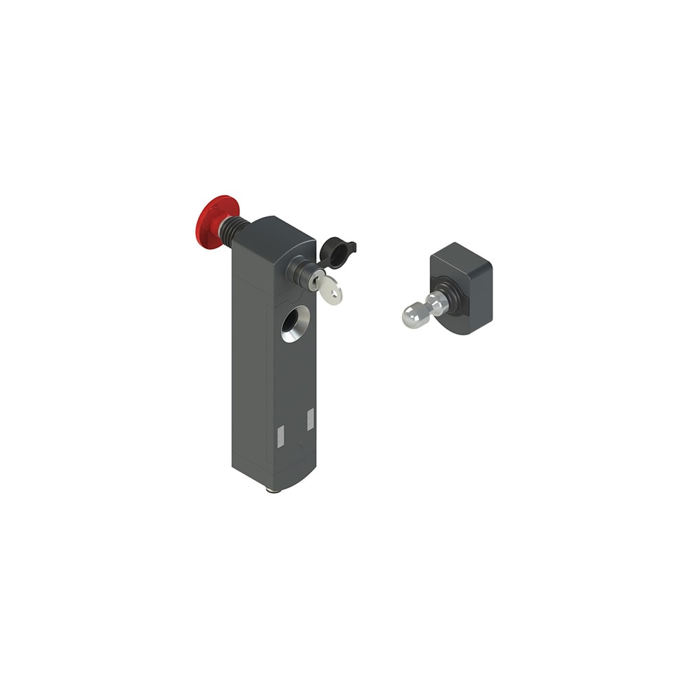 PIZZATO ELETTRICA - Interruttore di sicurezza con blocco serie NS completo di azionatore