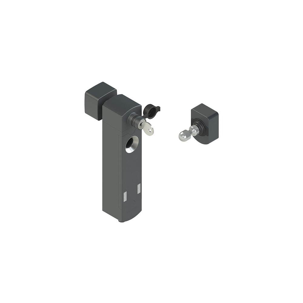 PIZZATO ELETTRICA - Interruttore di sicurezza con blocco serie NS completo di azionatore