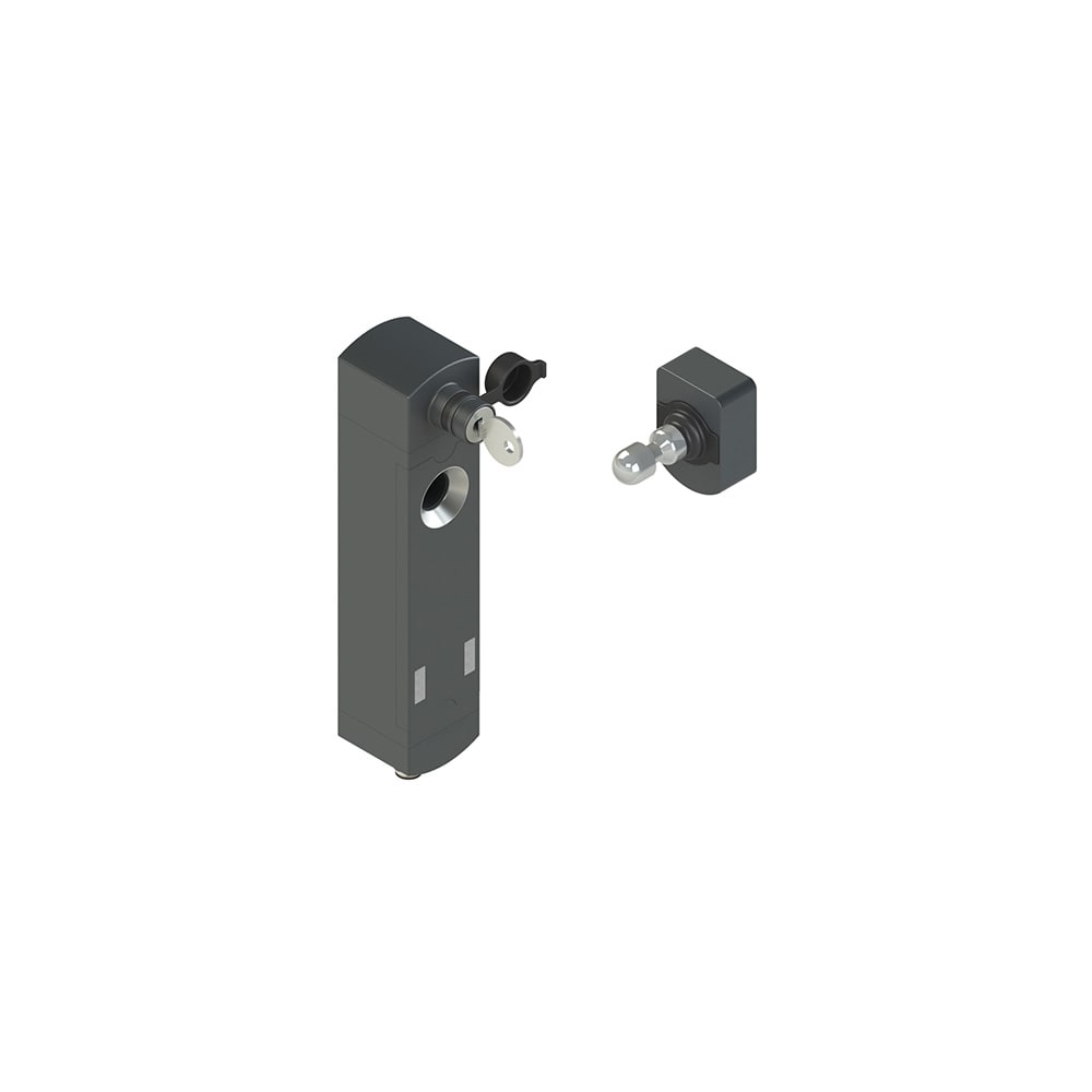 PIZZATO ELETTRICA - Interruttore di sicurezza con blocco serie NS completo di azionatore