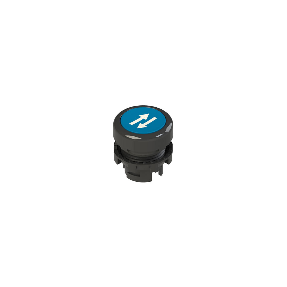 PIZZATO ELETTRICA - Pulsante ad impulso rasato blu con marcatura