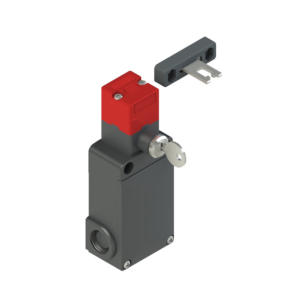 PIZZATO ELETTRICA - Interruttore di sicurezza ad azionatore separato con blocco serie FS
