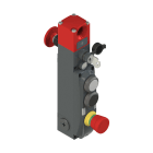 PIZZATO ELETTRICA - Interruttore di sicurezza con blocco serie NG con dispositivi di comando integrati