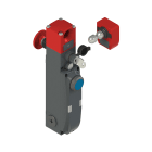 PIZZATO ELETTRICA - Interruttore di sicurezza con blocco serie NG con dispositivi di comando integrati, completo di azionatore