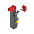 PIZZATO ELETTRICA - Interruttore di sicurezza con blocco serie NG con dispositivi di comando integrati, completo di azionatore