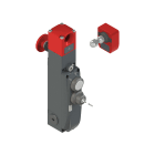 PIZZATO ELETTRICA - Interruttore di sicurezza con blocco serie NG con dispositivi di comando integrati, completo di azionatore