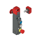 PIZZATO ELETTRICA - Interruttore di sicurezza con blocco serie NG con dispositivi di comando integrati, completo di azionatore