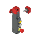 PIZZATO ELETTRICA - Interruttore di sicurezza con blocco serie NG con dispositivi di comando integrati, completo di azionatore