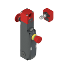 PIZZATO ELETTRICA - Interruttore di sicurezza con blocco serie NG con dispositivi di comando integrati, completo di azionatore
