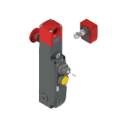PIZZATO ELETTRICA - Interruttore di sicurezza con blocco serie NG con dispositivi di comando integrati, completo di azionatore