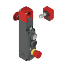 PIZZATO ELETTRICA - Interruttore di sicurezza con blocco serie NG con dispositivi di comando integrati, completo di azionatore NG 2D7E411D-F31