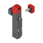 PIZZATO ELETTRICA - Interruttore di sicurezza con blocco serie NG completo di azionatore