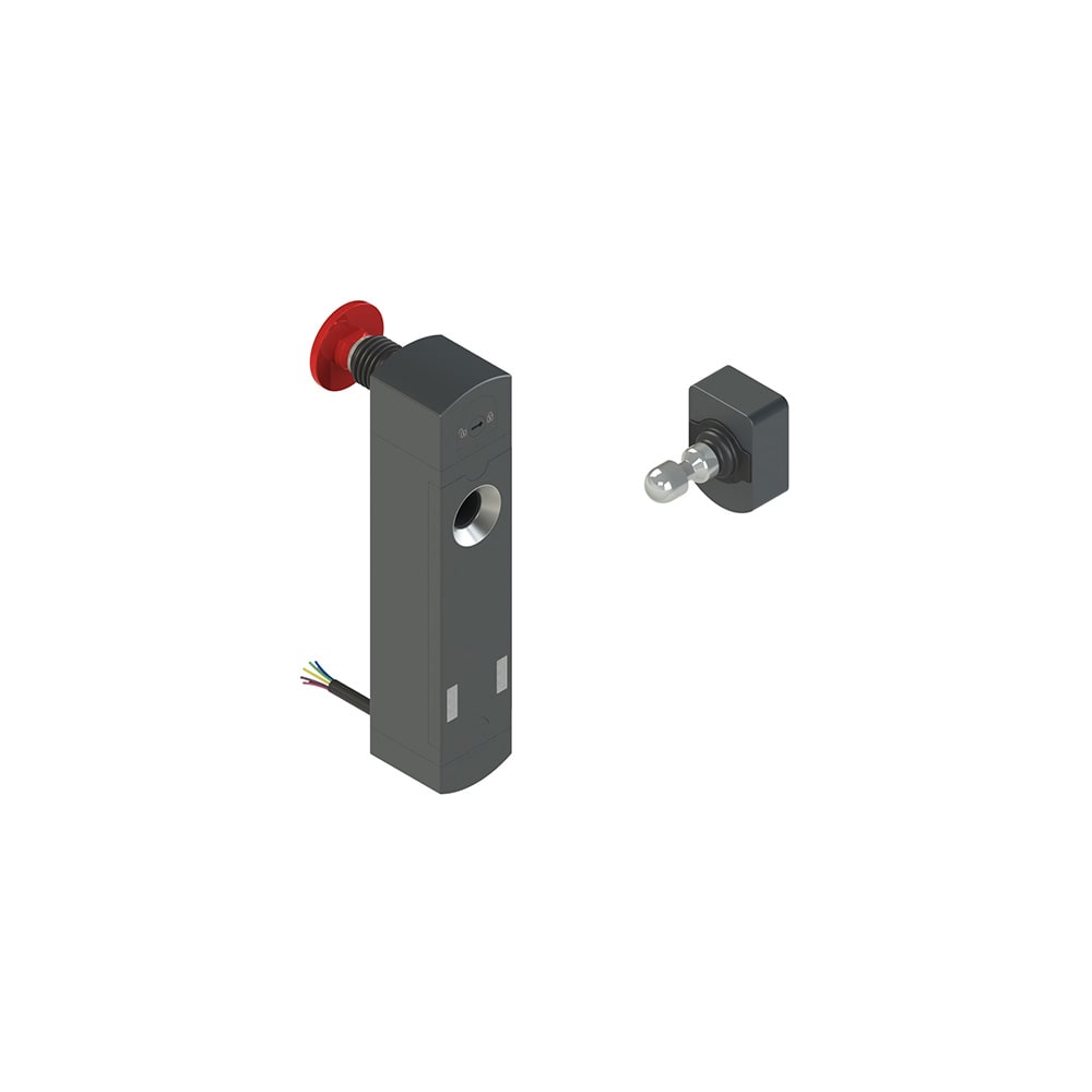 PIZZATO ELETTRICA - Interruttore di sicurezza con blocco serie NS completo di azionatore