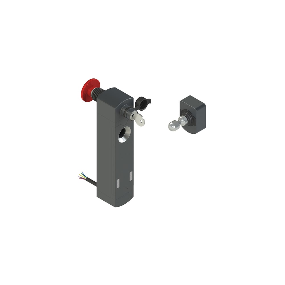PIZZATO ELETTRICA - Interruttore di sicurezza con blocco serie NS completo di azionatore