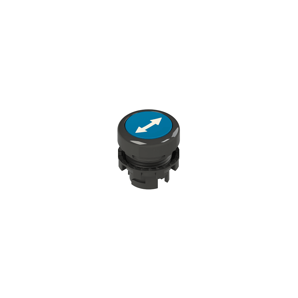 PIZZATO ELETTRICA - Pulsante ad impulso rasato blu con marcatura E2 1PU2R621L170