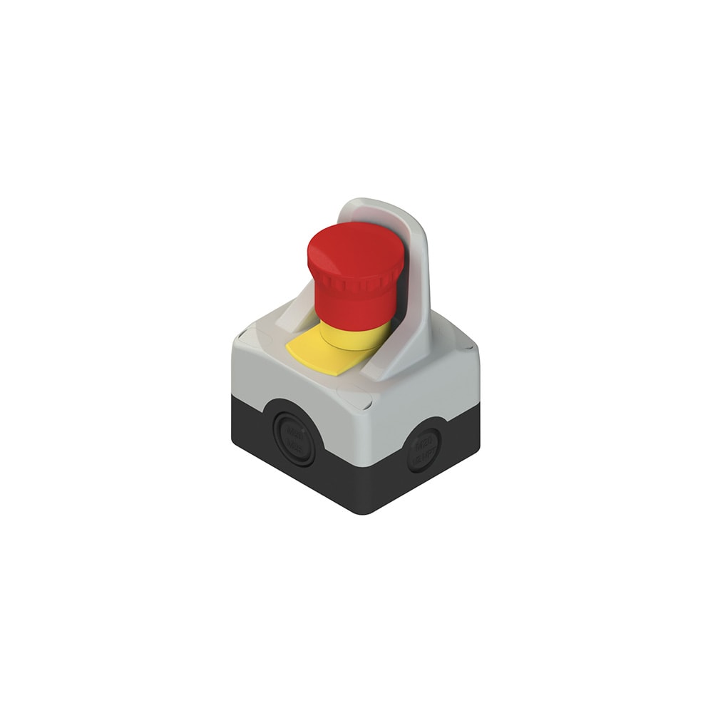 PIZZATO ELETTRICA - Scatola con guardia luminosa RGB 24Vdc e buzzer