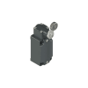 Miniatura Immagine principale 1