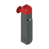 Miniatura Immagine principale 1