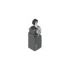 Miniatura Immagine principale 1