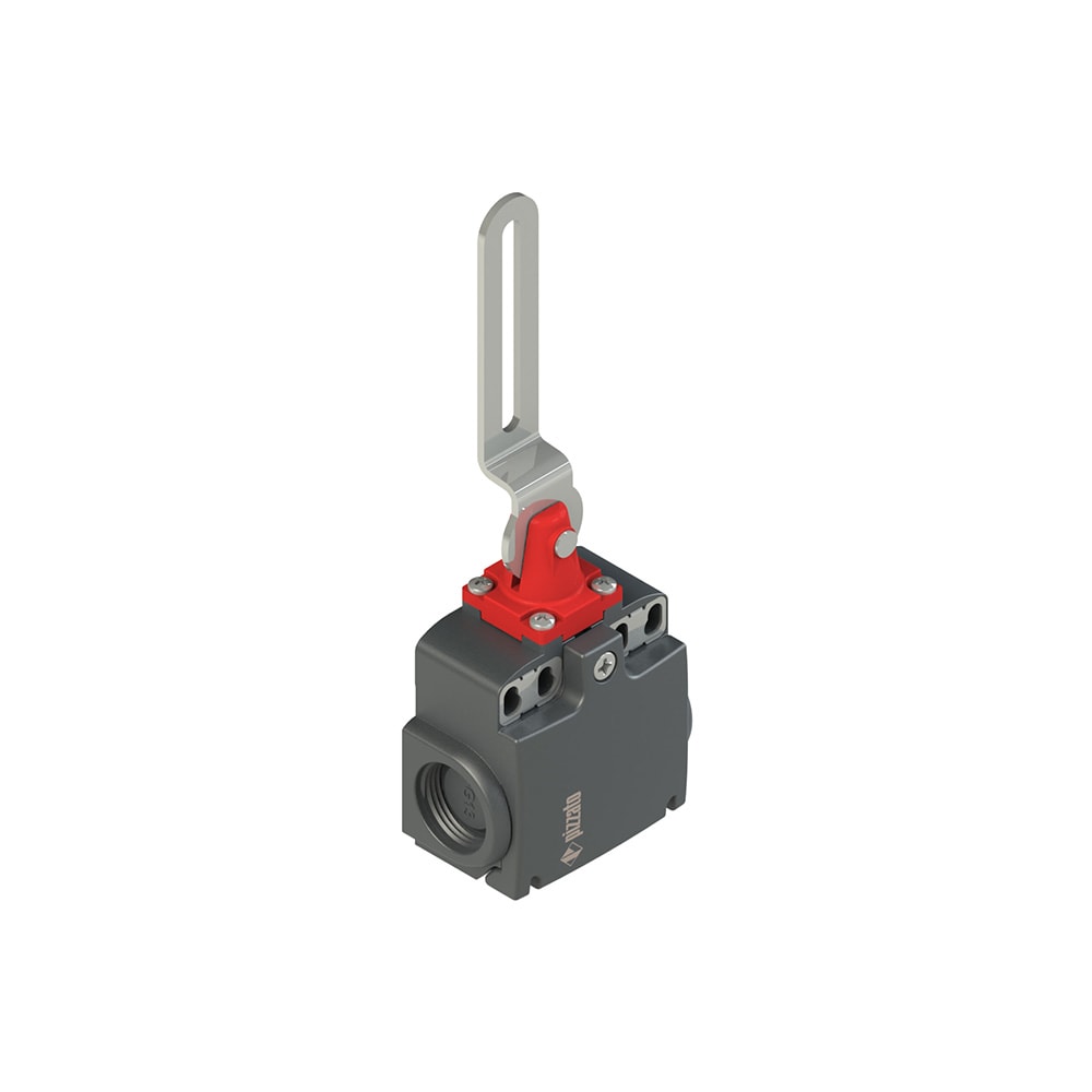 PIZZATO ELETTRICA - Interruttore di sicurezza a leva asolata FX 20C2-M2