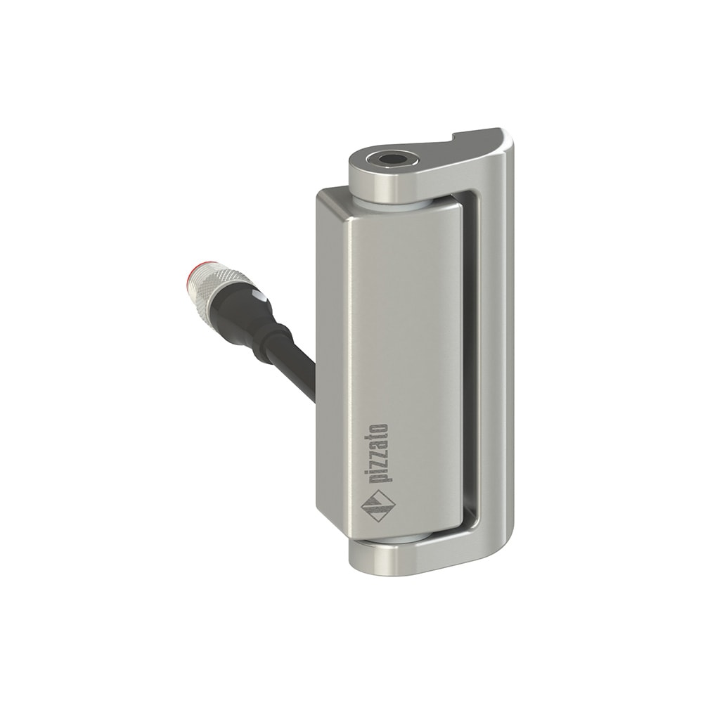 PIZZATO ELETTRICA - Interruttore di sicurezza a cerniera HP AA052D-0.1PM