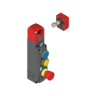 PIZZATO ELETTRICA - Interruttore di sicurezza con blocco serie NG con dispositivi di comando integrati, completo di azionatore