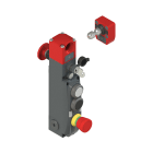 PIZZATO ELETTRICA - Interruttore di sicurezza con blocco serie NG con dispositivi di comando integrati, completo di azionatore NG 2D6D311D-F30