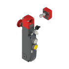 PIZZATO ELETTRICA - Interruttore di sicurezza con blocco serie NG con dispositivi di comando integrati, completo di azionatore