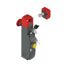 PIZZATO ELETTRICA - Interruttore di sicurezza con blocco serie NG con dispositivi di comando integrati, completo di azionatore