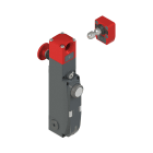 PIZZATO ELETTRICA - Interruttore di sicurezza con blocco serie NG con dispositivi di comando integrati, completo di azionatore