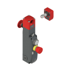 PIZZATO ELETTRICA - Interruttore di sicurezza con blocco serie NG con dispositivi di comando integrati, completo di azionatore