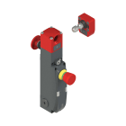 PIZZATO ELETTRICA - Interruttore di sicurezza con blocco serie NG con dispositivi di comando integrati, completo di azionatore