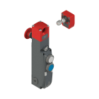 PIZZATO ELETTRICA - Interruttore di sicurezza con blocco serie NG con dispositivi di comando integrati, completo di azionatore