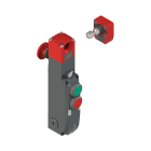 PIZZATO ELETTRICA - Interruttore di sicurezza con blocco serie NG con dispositivi di comando integrati, completo di azionatore