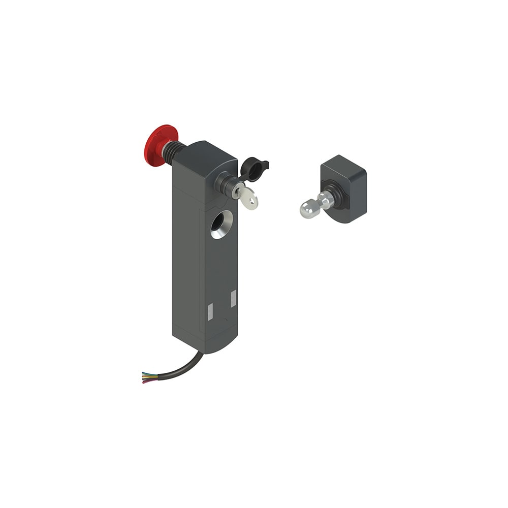 PIZZATO ELETTRICA - Interruttore di sicurezza con blocco serie NS completo di azionatore