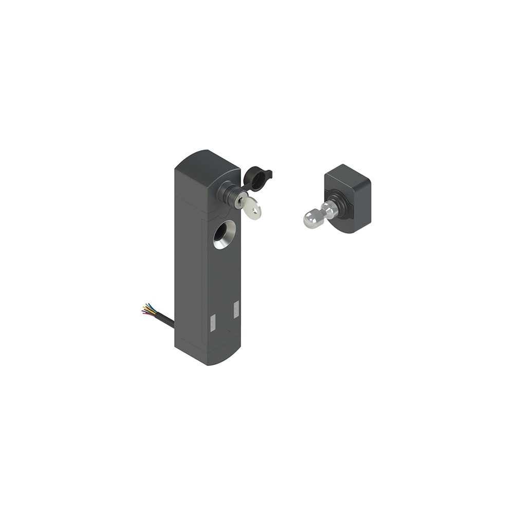 PIZZATO ELETTRICA - Interruttore di sicurezza con blocco serie NS completo di azionatore