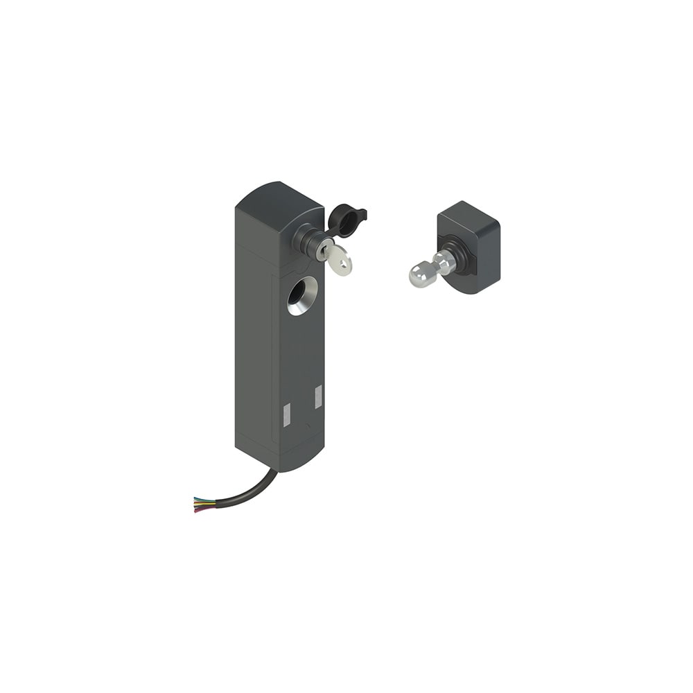 PIZZATO ELETTRICA - Interruttore di sicurezza con blocco serie NS completo di azionatore