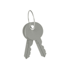 PIZZATO ELETTRICA - Coppia di chiavi della serratura VF KLB300