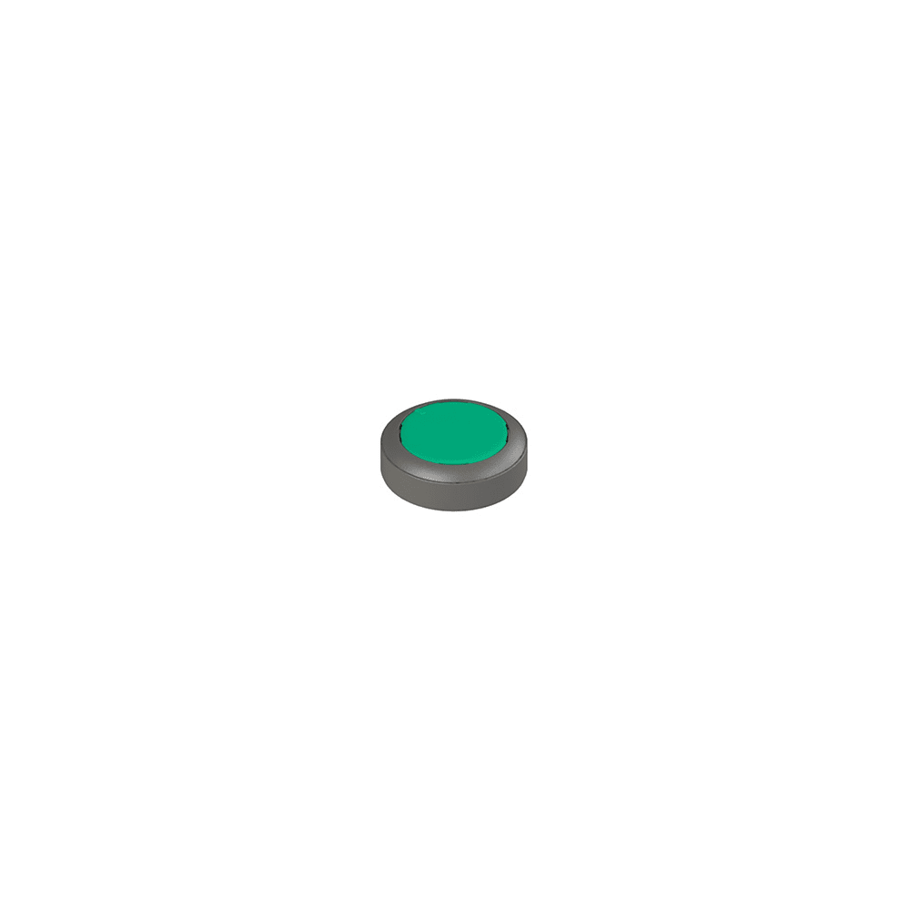 PIZZATO ELETTRICA - Pulsante illuminabile ad impulso, verde