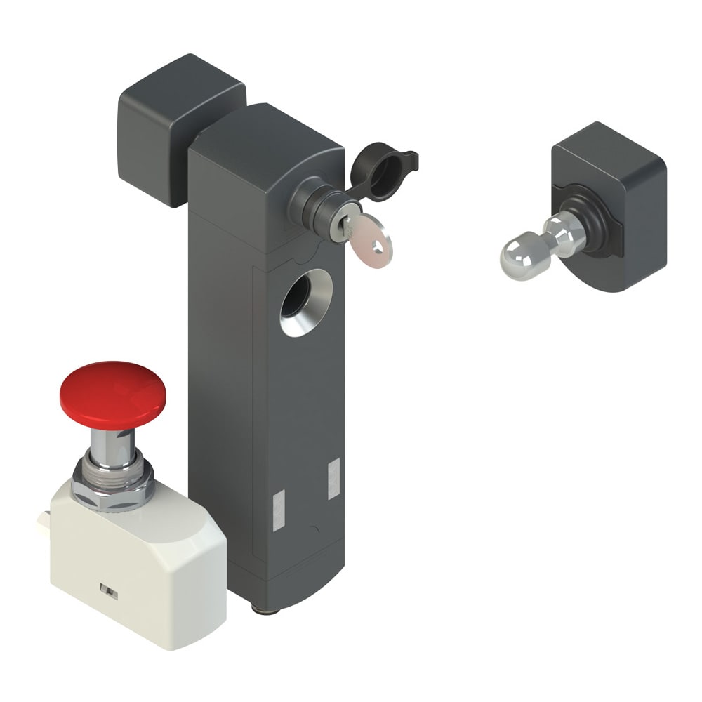 PIZZATO ELETTRICA - Interruttore di sicurezza con blocco serie NS completo di azionatore