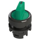 PIZZATO ELETTRICA - Selettore luminoso a leva corta a due posizioni verde con marcatura E2 2SL12AVD41AB
