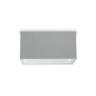 PLATEK - SPECIAL APP 37W-4K WIDE-2 FINESTRE -GRIG